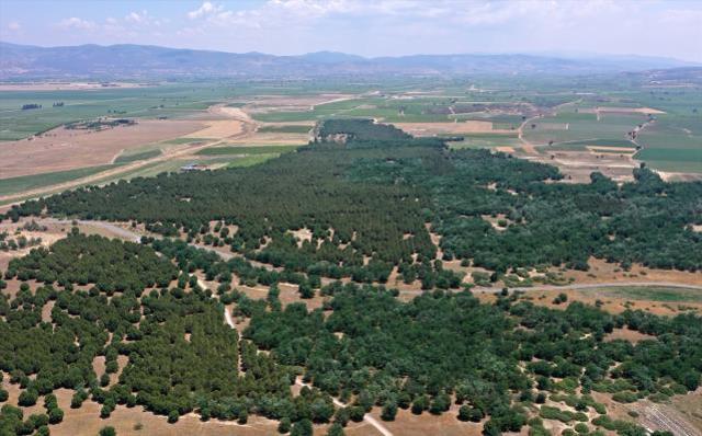 Arabistan değil Türkiye! Çöle benzediği için dizi çekilmişti, şimdi görenlerin ağzı açık kalıyor