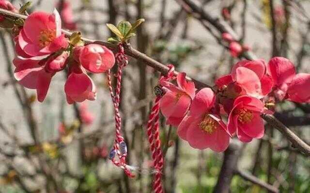 Marteniçka ne zaman takılır? Marteniçka bileklik nedir, ne zaman takılır, ne zaman çıkarılır?