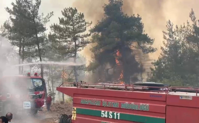 Orman yangınında itfaiyecilerin yorgunlukla savaşı