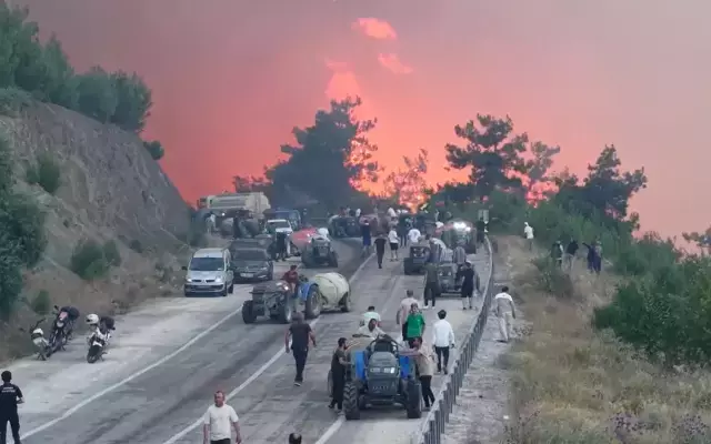 Bursa'da alevler hızla ilerliyor! Makam araçları yanmaktan son anda kurtuldu