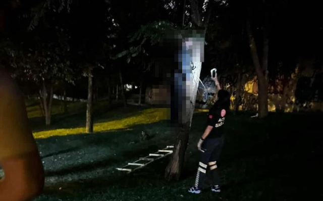 Ümraniye'de yaşlı adam ağaca asılı halde ölü bulundu