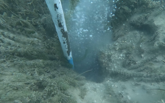 Sapanca Gölü fay hattı boyunca fokur fokur kaynadı! Büyük bir depremin habercisi mi?