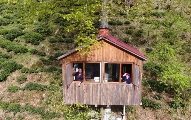 Gören hayran kalıyor! Hayalini kurdukları ağaç eve 30 yıl sonra kavuştular