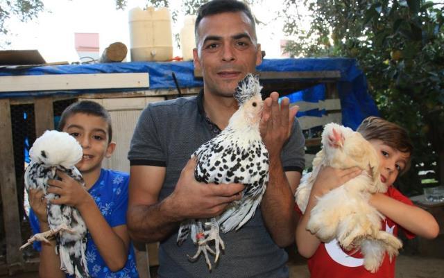 'Altın yumurtlayan tavuk' hikayesi gerçek oldu! Tanesini 150 liraya satıyor