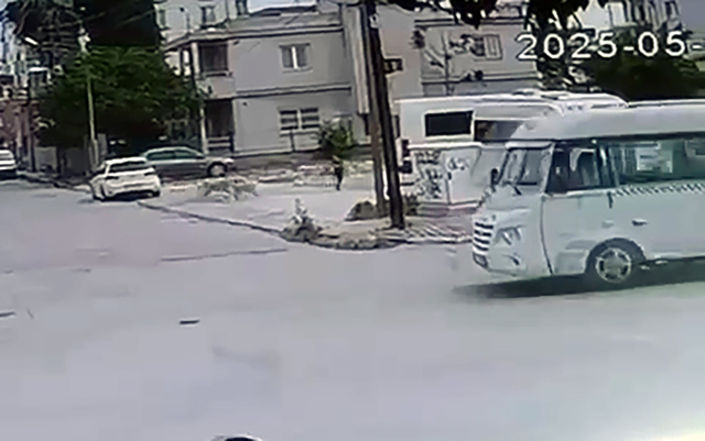 Sokak Köpekleri Çocuğu Kovaladı, Esnaf Kurtardı