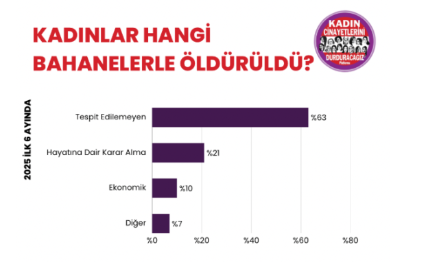 2025 yılında kaç kadın öldürüldü?