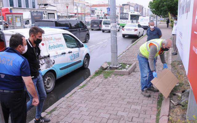 Vicdansızlıkta sınır tanımadılar! Gözlerini oydukları köpeğin, çenesini sert cisimle kırdılar