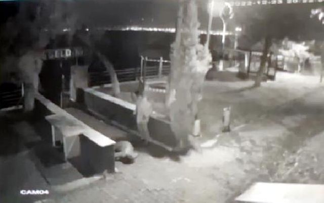 Eşini restoran bahçesinde öldüren kocanın ifadesi ortaya çıktı