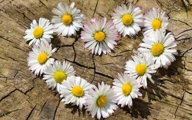 Aşk sözleri: En güzel aşk sözleri, en anlamlı aşk sözleri, kısa aşk sözleri, aşkla ilgili sözler, uzun aşk sözleri!