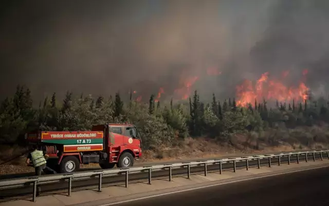 Ormancılık faaliyetleri devam ediyor.