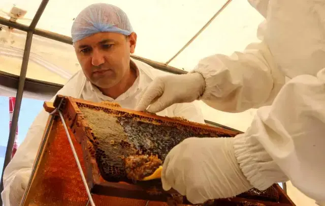 300 yıldır Türkiye'de üretilen bu ürünün kilosu 9 bin liraya satılıyor