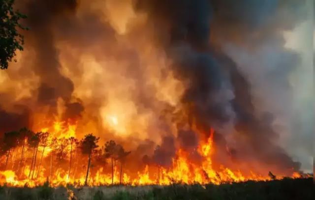 İngiltere yanıyor! Termometreler bugün ülke tarihinin en yüksek sıcaklığı olan 40,2 dereceyi gösterdi