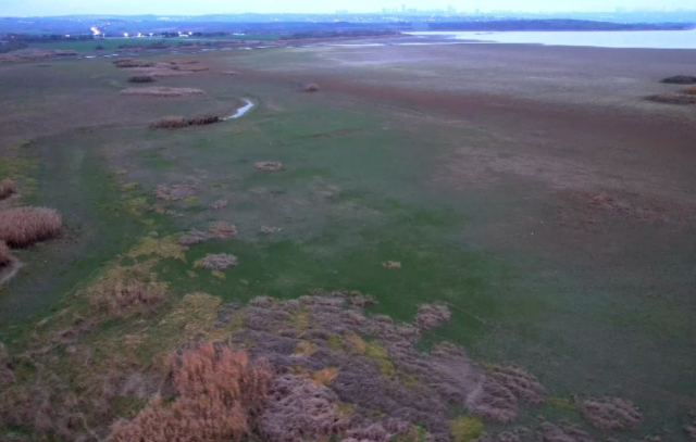 Büyükçekmece gölünde su azalıyor