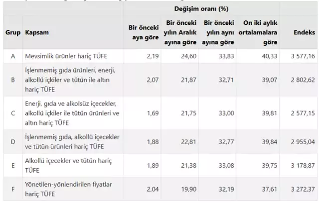 Enflasyon ağustos ayında yüzde 2,04 arttı, yıllık bazda yüzde 32,95 oldu