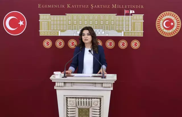 DEM Parti Irak, Suriye ve Lübnan tezkelerine 'Hayır' oyu verecek