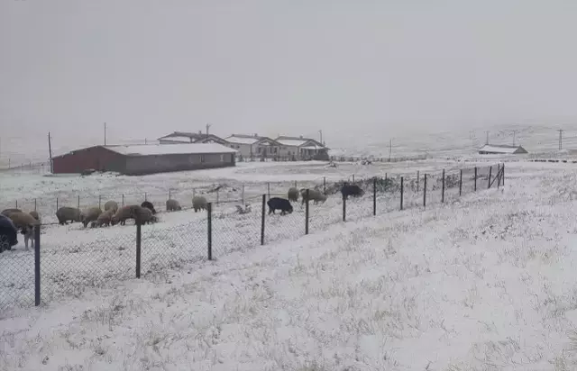 4 ilde etraf beyaza büründü! Kar kalınlığı 60 santimetreye ulaştı