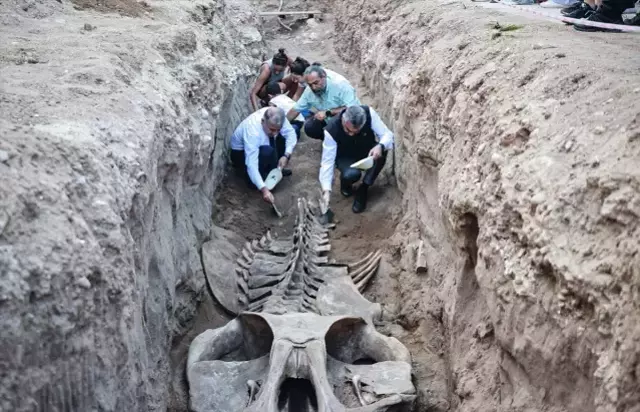 Kazı çalışmaları sırasında öğrenciler ve araştırmacılar