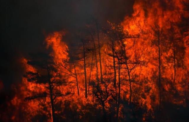 Marmaris yangını söndürüldü mü, son durum nedir? 23 Haziran Muğla Marmaris yangın söndürme çalışmaları devam ediyor mu? Yangın devam mı ediyor?