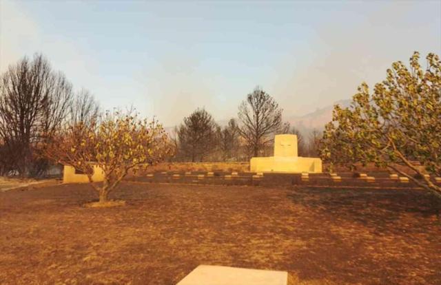 4 ilde orman yangını! Ekipler zamana karşı yarışıyor