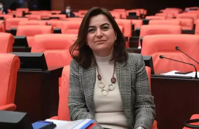 Komisyonun diğer bir üyesi