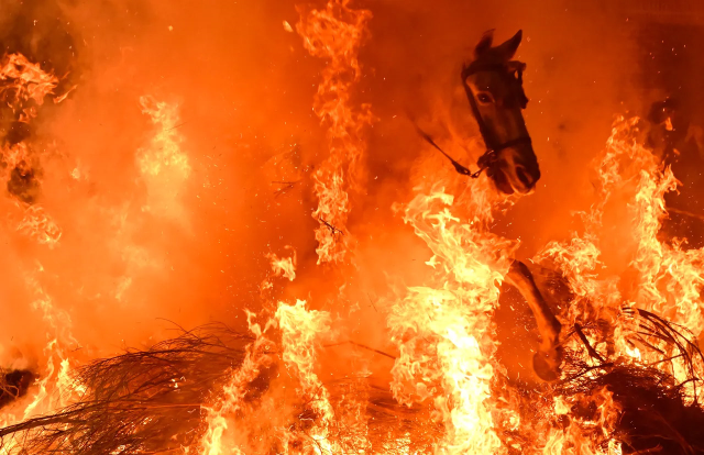 Film sahnesi değil gerçek: Atlar, alevlerin arasından böyle geçti