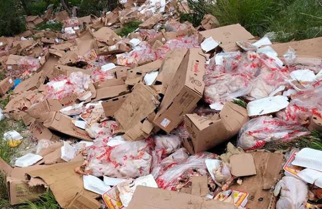 Hayvanseverleri ayağa kaldıran görüntüler! Kilolarca tavuğu ormana attılar