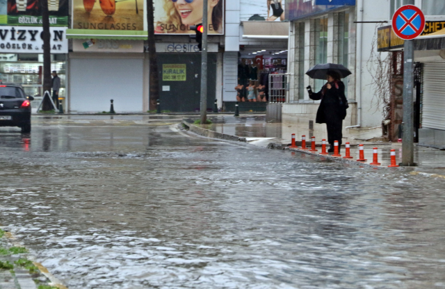 Kenti sel aldı, dünyaca ünlü sahilde kıyıya dana vurdu