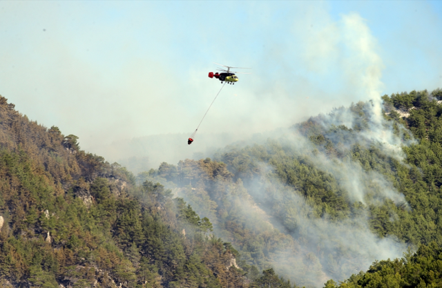 Yeşilliyle hayran bırakan bölgede yürek yakan manzara! Siyaha döndü