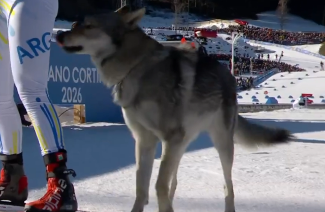 Dev organizasyonun önüne geçen görüntü