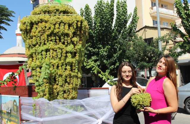 Sezonun ilk kuru üzümü bin 250 TL'den alındı