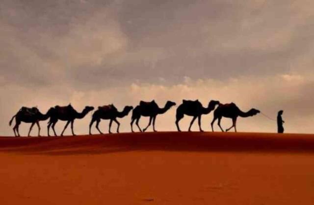 Yolcunun kurban kesmesi gerekir mi? Seferi olana kurban vacip mi?