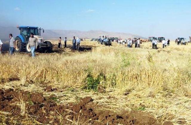 Buğday tarlaları planlı mı yakılıyor? Sosyal medyada paylaşılan düzenek kafa karıştırdı