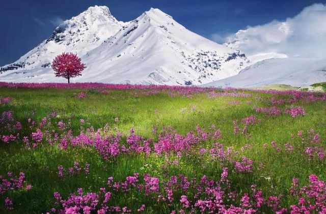 En güzel kar resimleri! 2022 kar manzaraları ve kar fotoğrafları!
