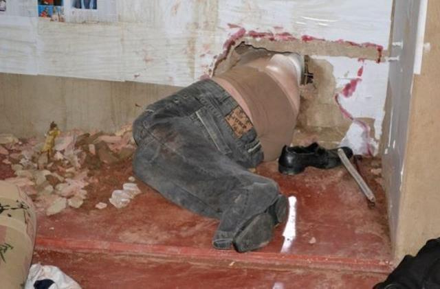 Acı çığlığa koşan gardiyanlar, manzarayı görünce gülme krizine girdi Acı çığlığa koşan gardiyanlar, manzarayı görünce gülme krizine girdi