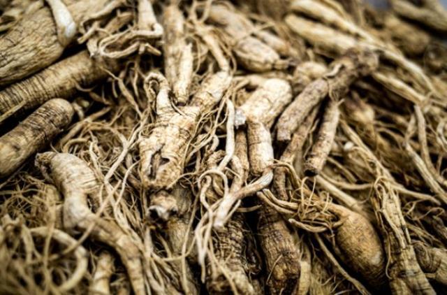 Sıcak suya ekleyip için! Cinsel gücü artırıyor, erkeklerin gizli sorununa derman oluyor