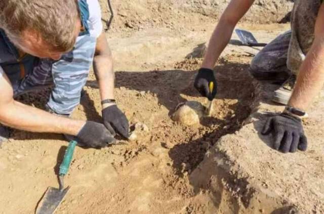 50.000 yıllık Neandertal kemiklerinde bugün hala insanları etkileyen üç virüs keşfedildi