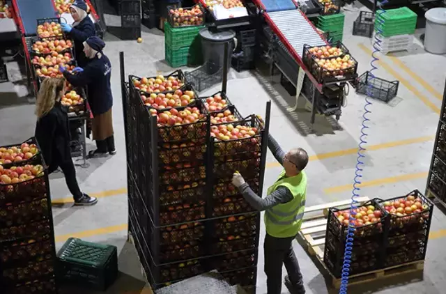 25 ülkeye ihracat yapıyordu! Türkiye'nin gıda devi iflasın eşiğinde