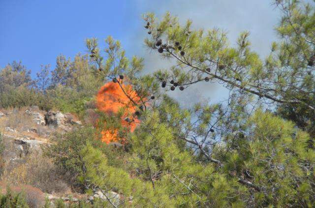 Bodrum'daki yangına müdahale sürüyor! Kova kova su taşıdılar