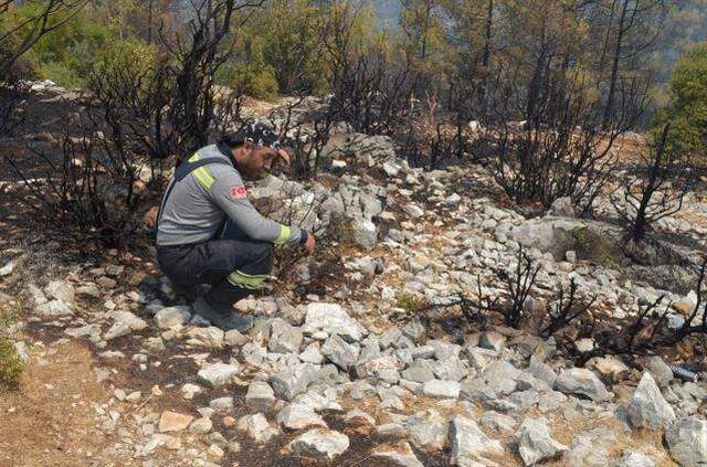 Antalya'daki yangını söndürür söndürmez soluğu Muğla'da aldılar! Orman savaşçılarının mücadelesi duygulandırdı