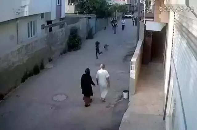 Köpekten kaçmaya çalışırken düşüp yaralandı; o anlar kamerada
