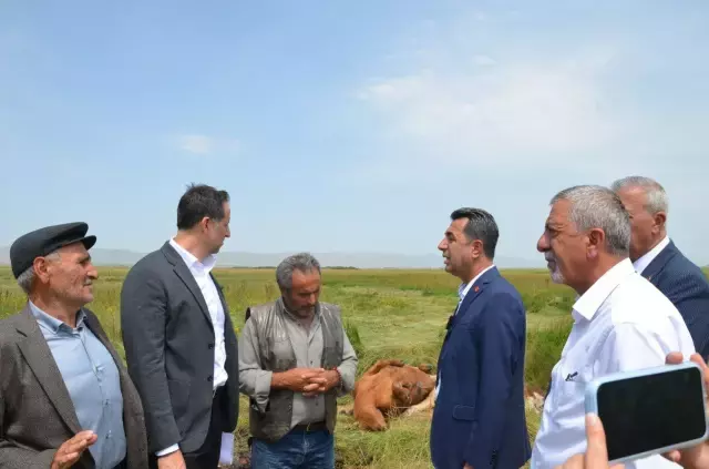Şap hastalığı