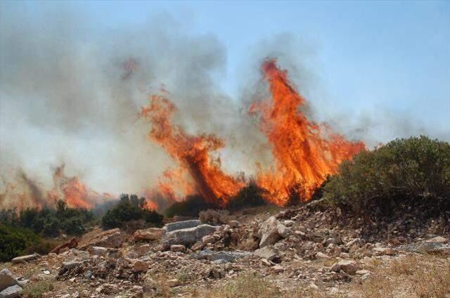 Son Dakika: Türkiye'nin güneyi yanıyor! Antalya'dan sonra Bodrum ve Didim'de de yangın çıktı, alevler yerleşim yerlerine yaklaşıyor