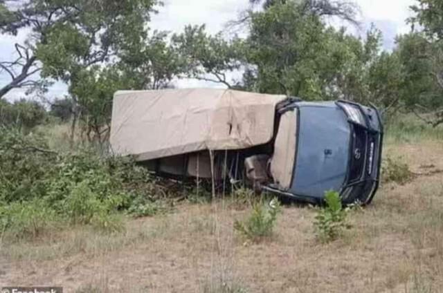 Zambiya'da safariye çıkan turistlere fil saldırdı: 80 yaşındaki kadın hayatını kaybetti