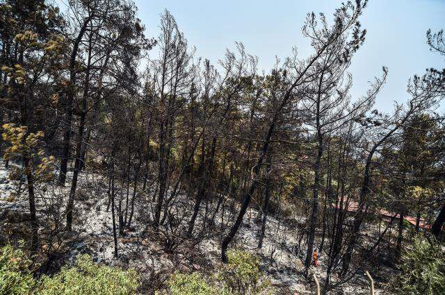 Marmaris'te 8 gündür süren yangınlar tamamen sona erdi