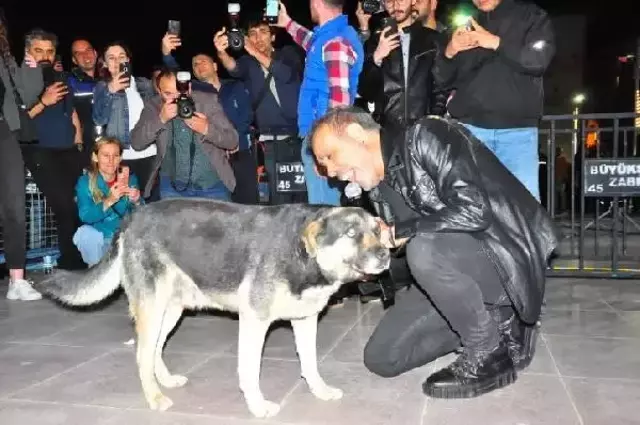 19 Mayıs'ı sahnede kutlayan Haluk Levent, sokak köpeğiyle yere uzanarak şarkı söyledi