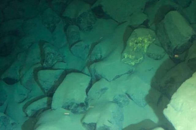 Dünyadaki en derin noktaya 12 saatte inen bilim insanı, ilginç yaratıkla karşılaştı: İsmi Cehennem Bombacısı