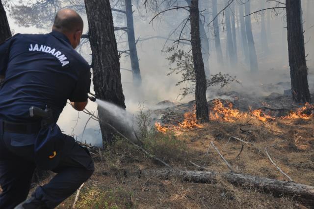 Son Dakika: Datça'da orman yangını! Alevler eve sıçradı, bölge tahliye ediliyor