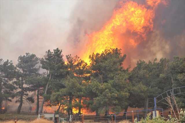 Çanakkale'de roman yangınında 38 saat geride kaldı! Alevler her yeri kül etti, bölgenin son hali içler acısı