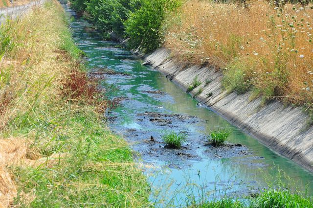 Manisa'da Sanayi Atıkları Sulama Kanalını Maviye Boyadı