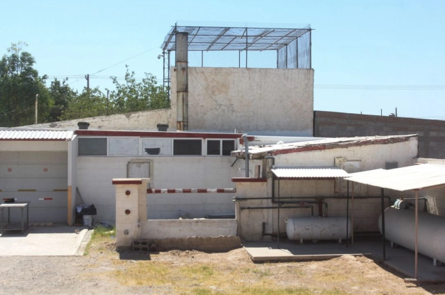 Meksika'da mumyalanmış 60 ceset bulundu